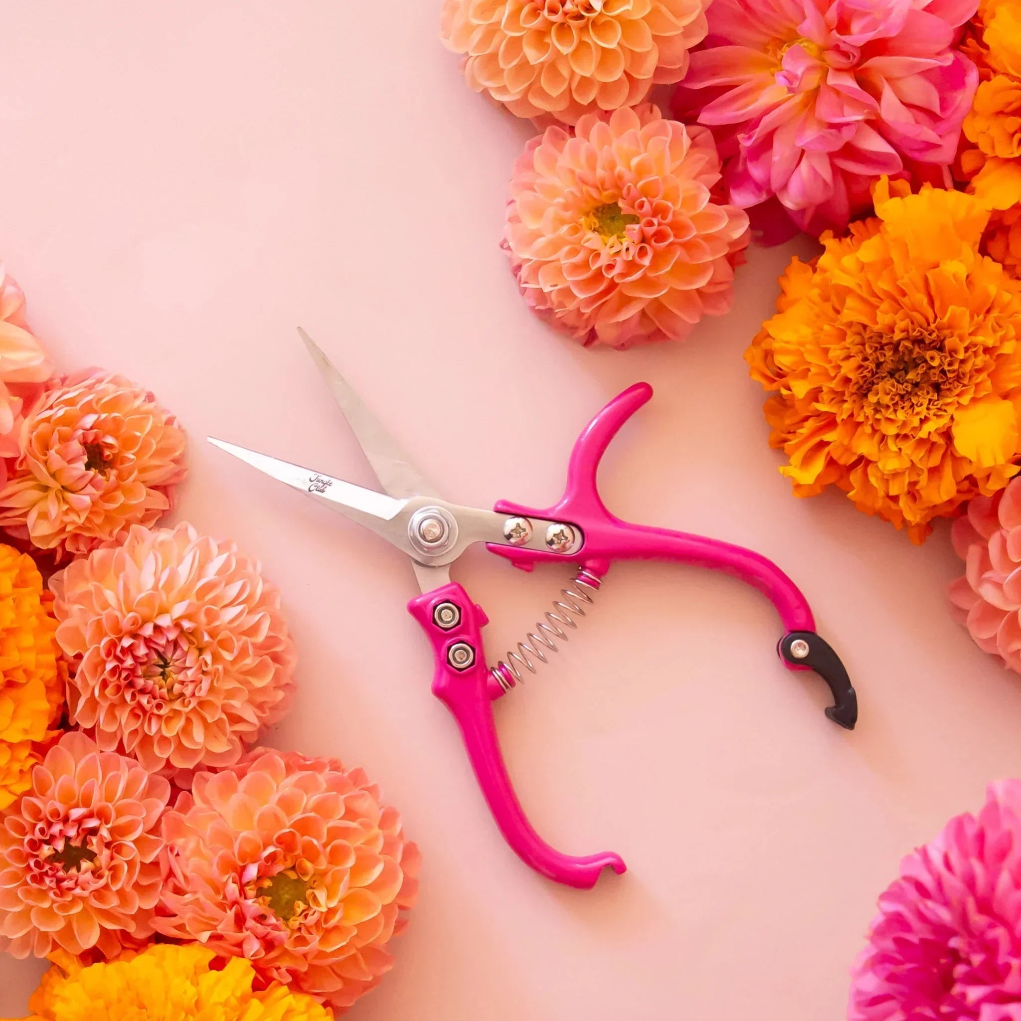 Fiskars Bloemenschaar kopen? ✔️ Tot 50% korting op Fiskars Bloemenschaar kopen? ✔️ Tot 50% korting op