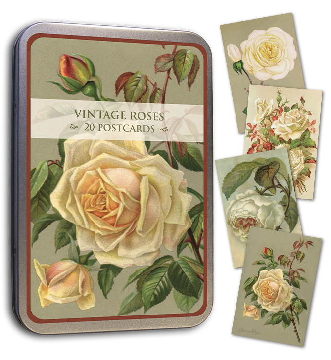 Vintage printed postcards in tin storage box