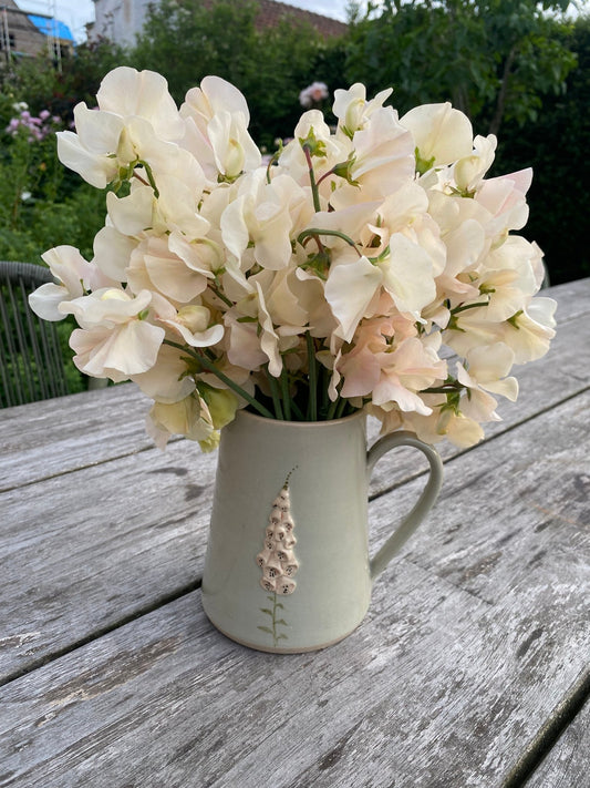 Lathyrus Odoratus - Reukerwt "Juliet" - Tuinkabouter Chrisje