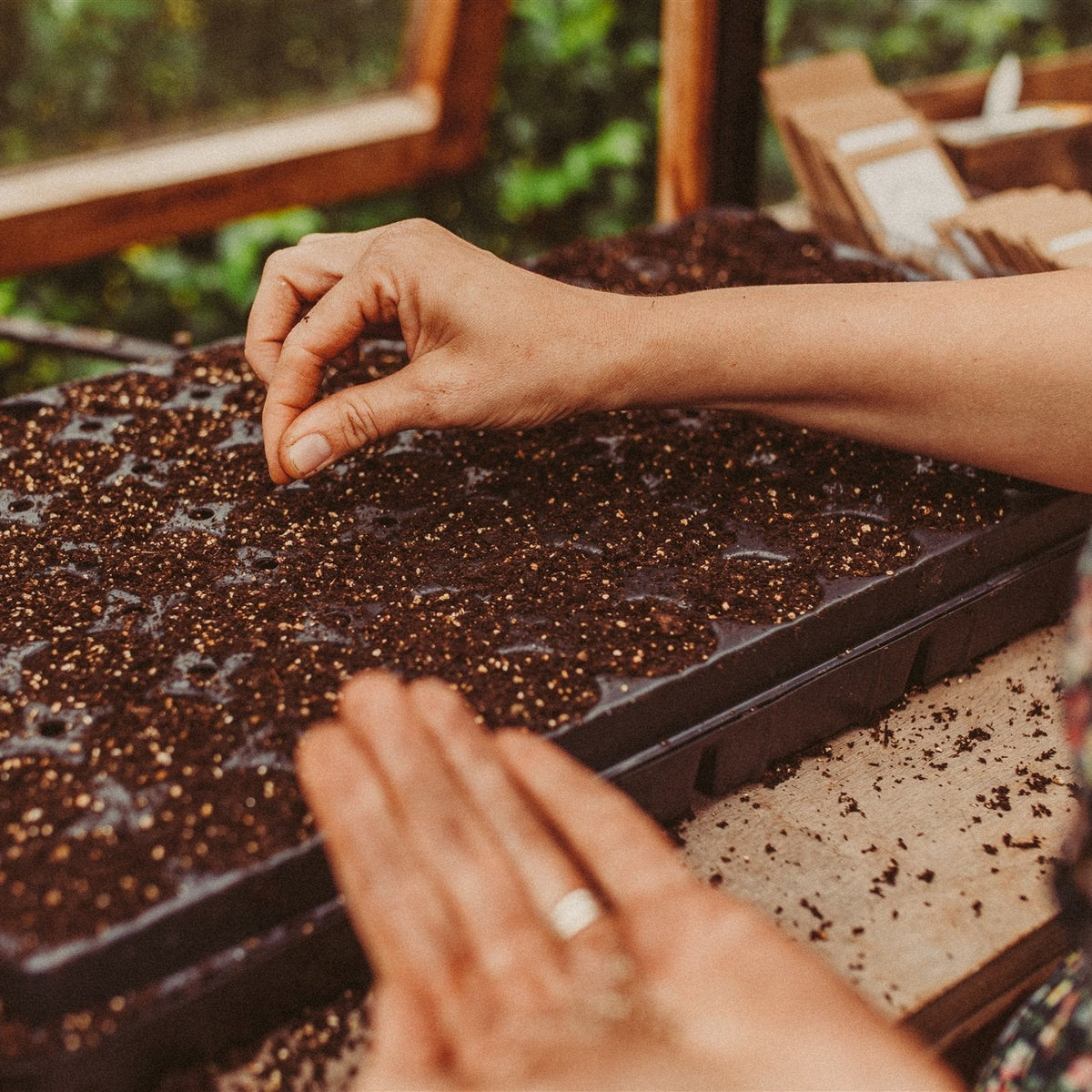 Live Zoom masterclass – Herfstzaaien voor vroege boeketten - Tuinkabouter Chrisje