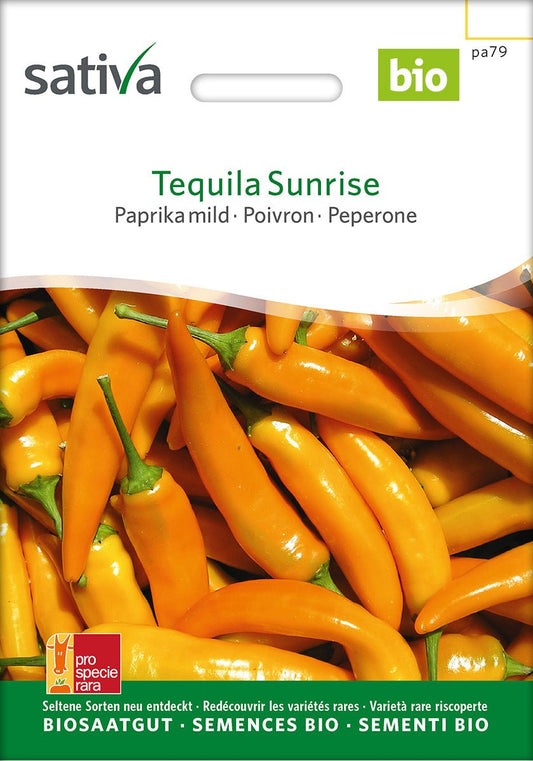 Paprika/Peper ‘Tequila Sunrise’ – Bio van Sativa - Tuinkabouter Chrisje