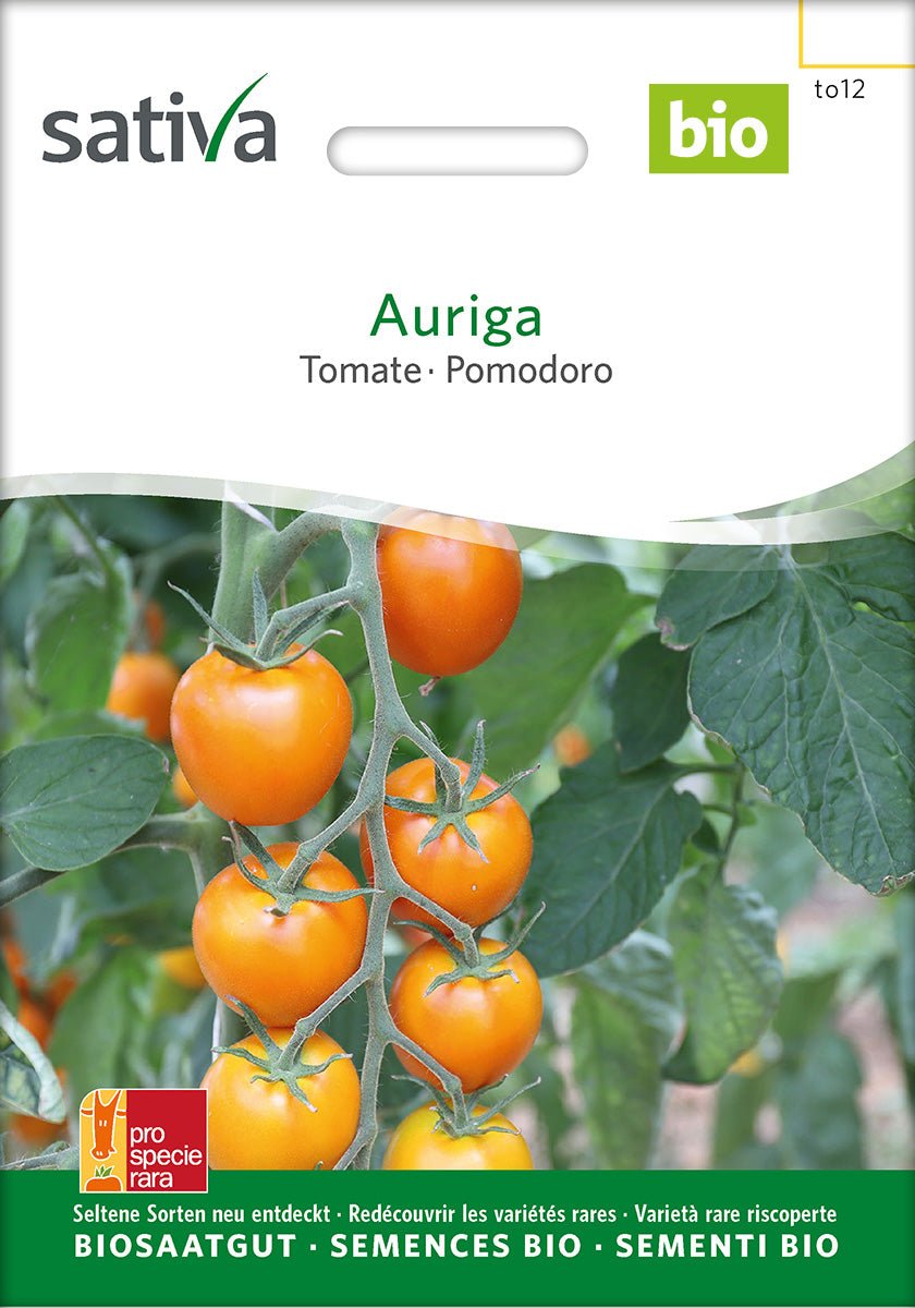 Tomaat Auriga - Bio van Sativa - Tuinkabouter Chrisje