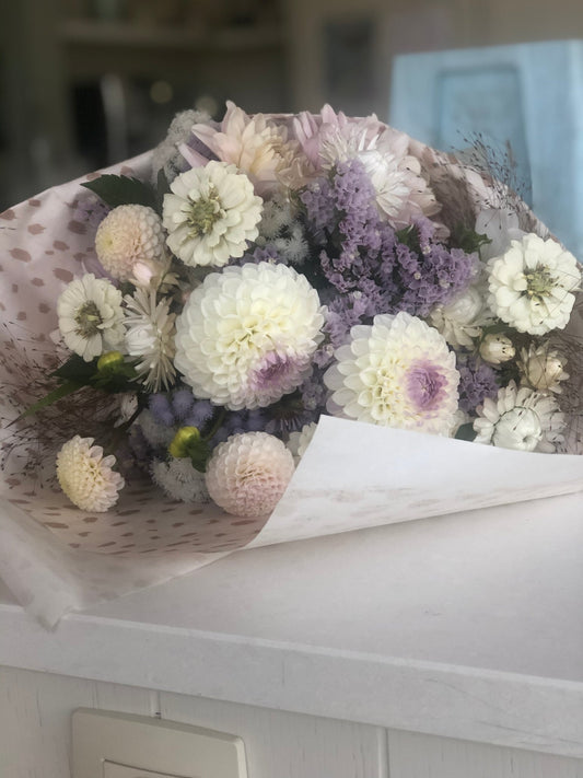 Dahlia Andrea Lawson tubers