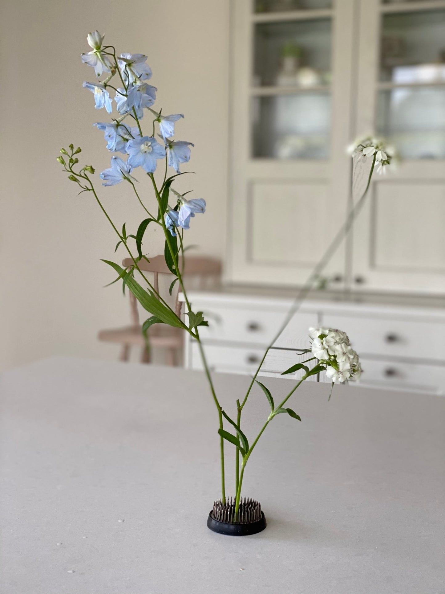 Kenzan - grenouille fleurie - pique fleur - grand