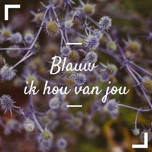 Blauw, ik hou van jou ! - Tuinkabouter Chrisje