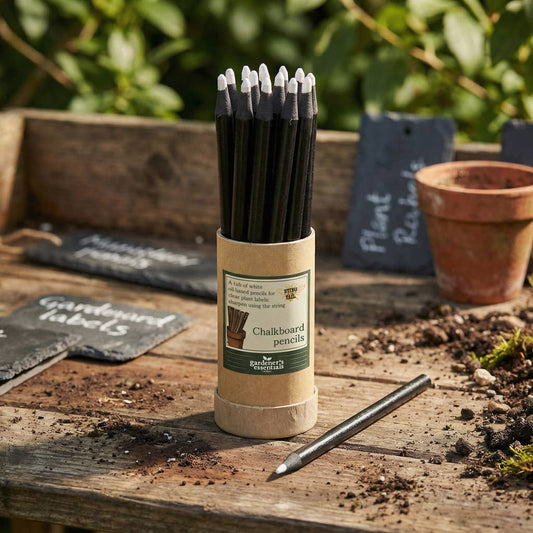 Wit tuinpotlood – weerbestendig