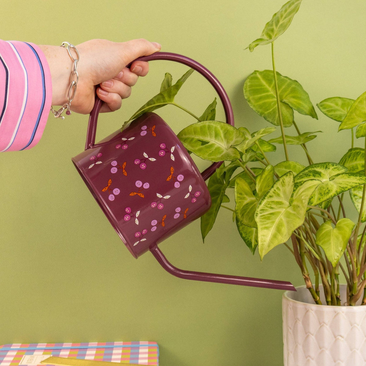 Gardenico Spring Gieter – 4,5 Liter – Erwtengroen – Modern Design – Voor Bloemen En Planten