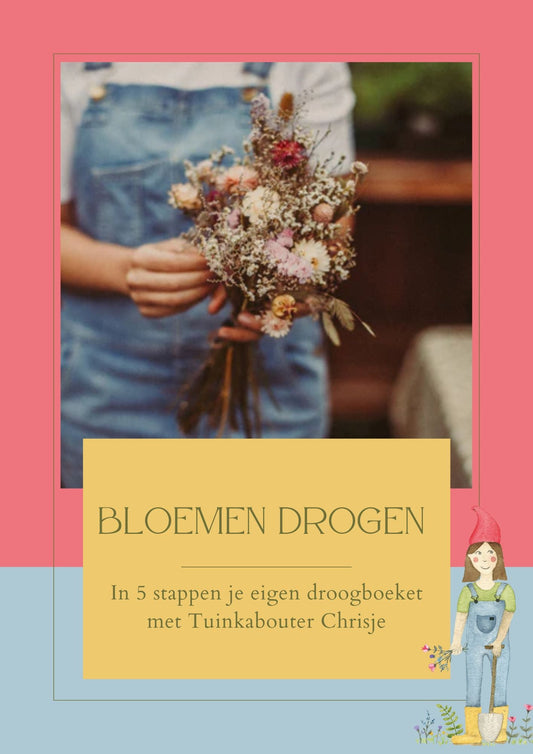 Gratis gids: Droogbloemen in 5 stappen - Tuinkabouter Chrisje