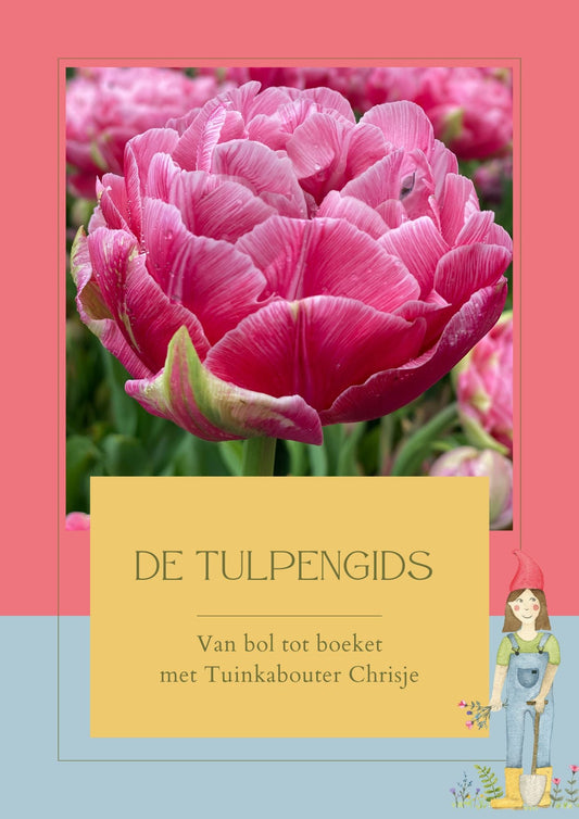 Gratis gids: Tulpengids - Van bol tot vaas - Tuinkabouter Chrisje