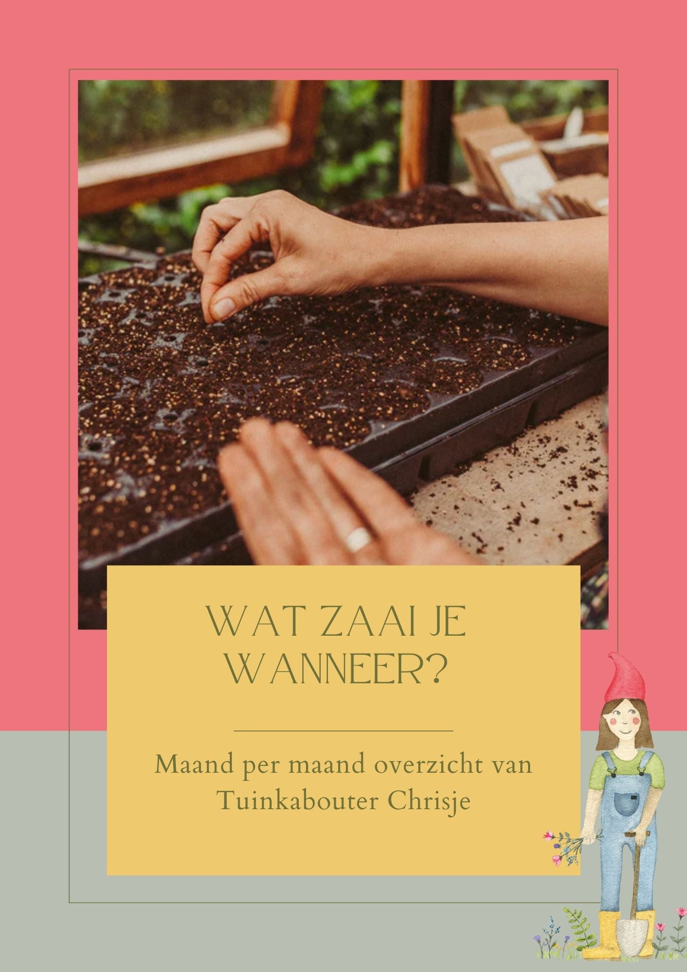 Gratis gids: Zaaikalender - Welke bloemen zaai je Wanneer? - Tuinkabouter Chrisje