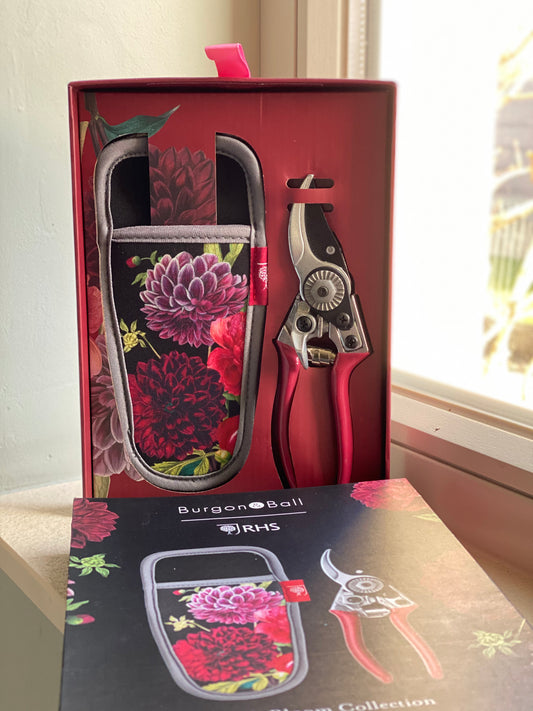Gift box Dahlia pruning shears and holster