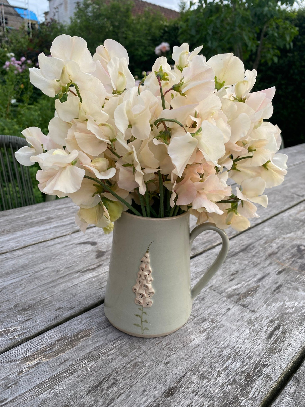 Lathyrus Odoratus - Reukerwt "Juliet" - Tuinkabouter Chrisje