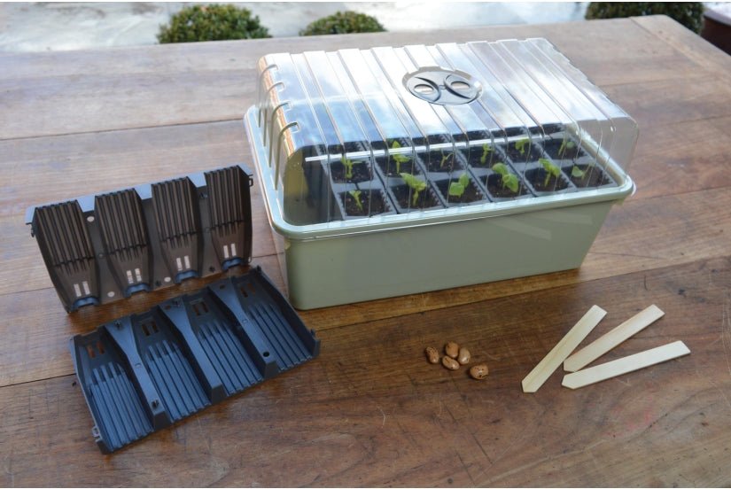 Roottrainer – complete kweekset voor sterke, diepe wortels - Tuinkabouter Chrisje