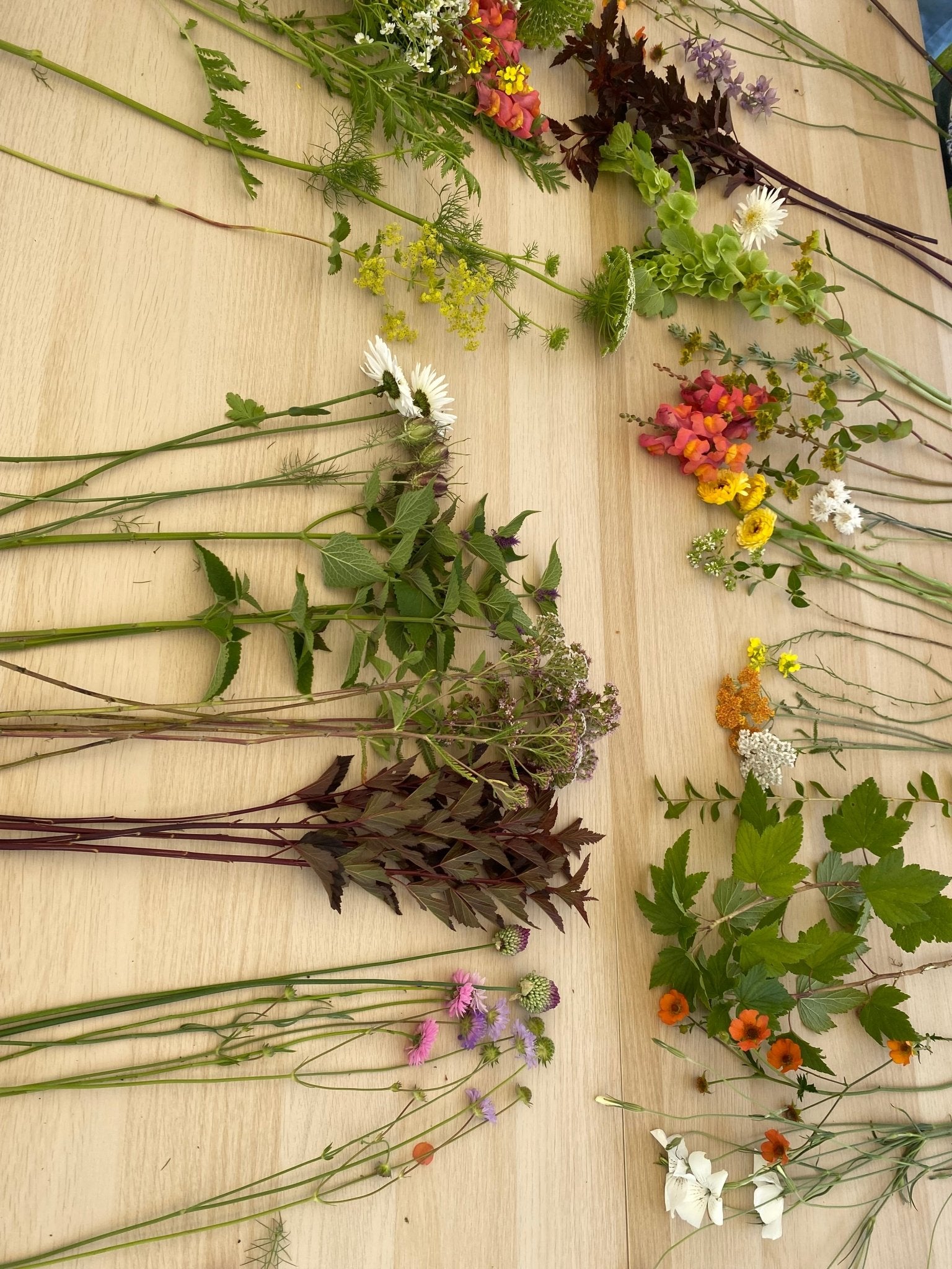 Workshop: "Boeket oogsten en leren schikken" - Tuinkabouter Chrisje