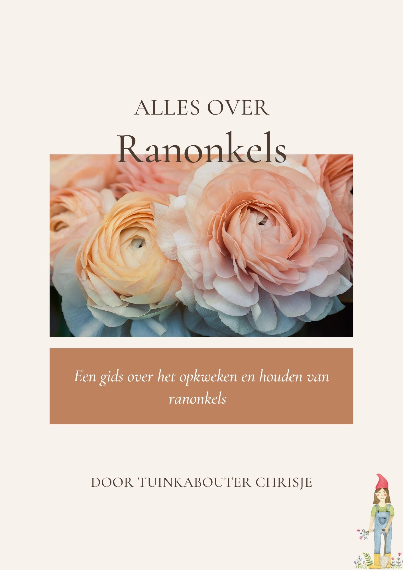 e-book "Alles over ranonkels" * download * - Tuinkabouter Chrisje
