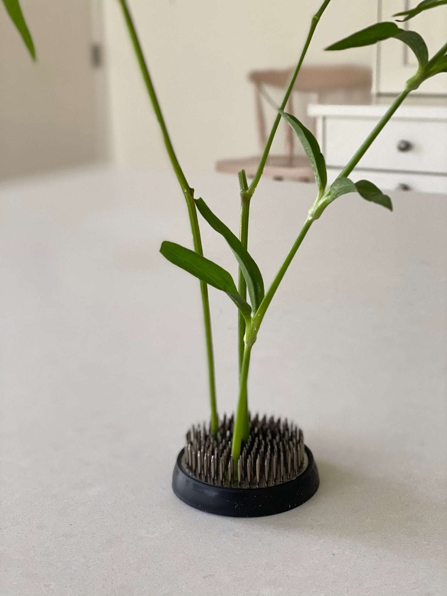 Kenzan flower frog bloemenprikker Tuinkabouter Chrisje