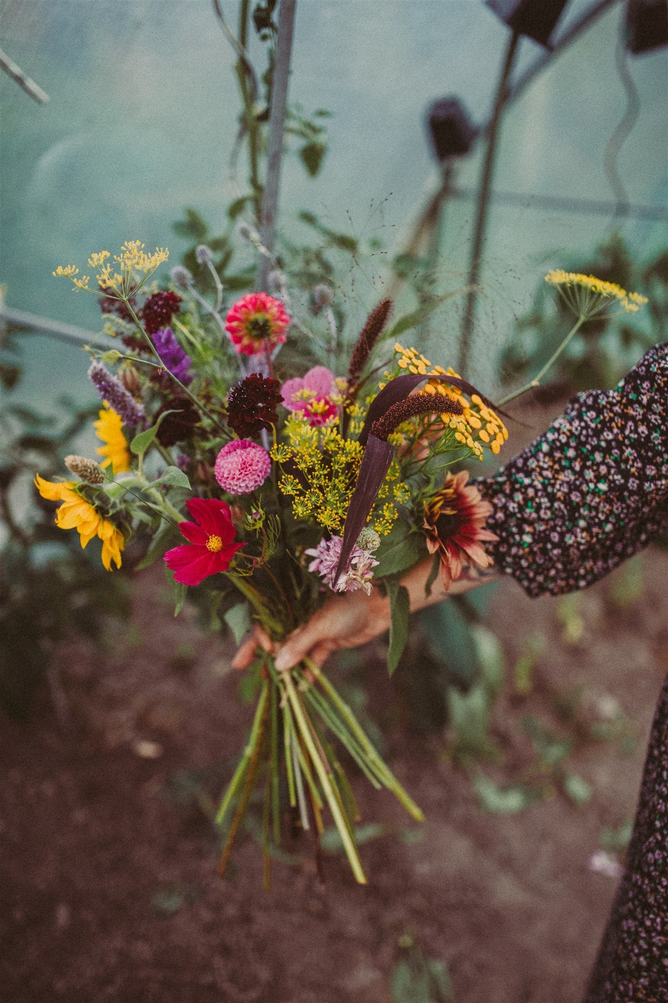 Atelier en direct "Semer des fleurs pour votre jardin de cueillette"