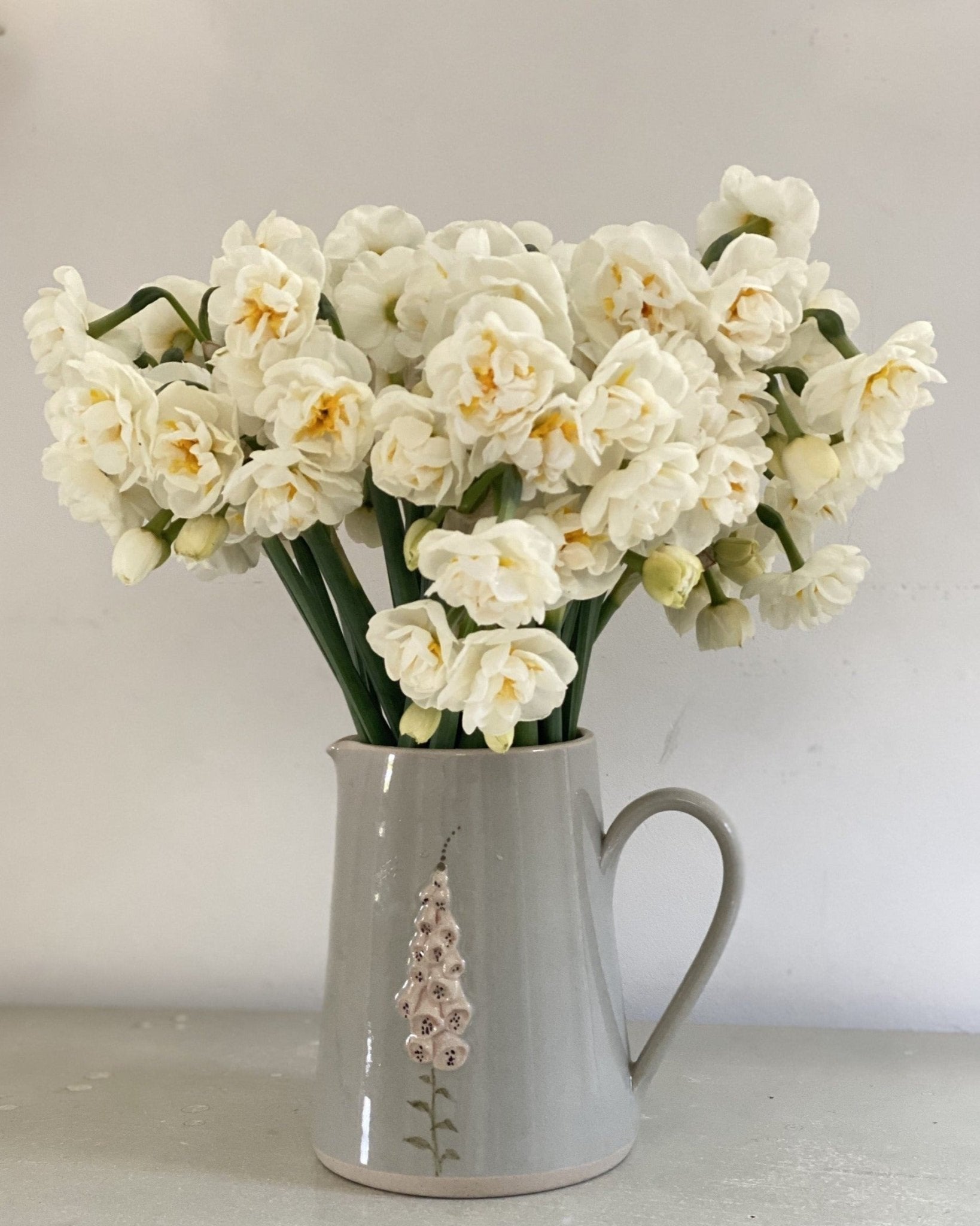 Narcissus Bridal Crown - pak van 10 bloembollen - Tuinkabouter Chrisje
