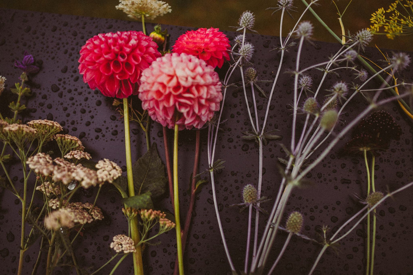 Atelier en ligne "Récolte et composition des fleurs"